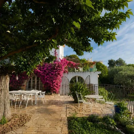Magnifique De 250m2 Avec Piscine A 5min De Cannes Villa